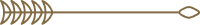 subtitle shape 2